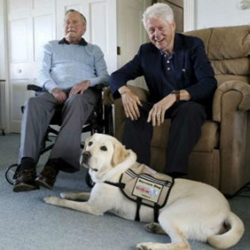 ブッシュ前大統領がケネバンクポートコンパウンドに新しい介助犬を歓迎